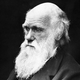 Illustration for article titled What Did Charles Darwin Put In His Mouth? Pretty Much Everything.